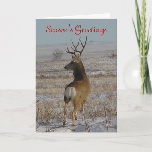 D20 Mule Deer Buck im Schnee Feiertagskarte (Vorderseite)
