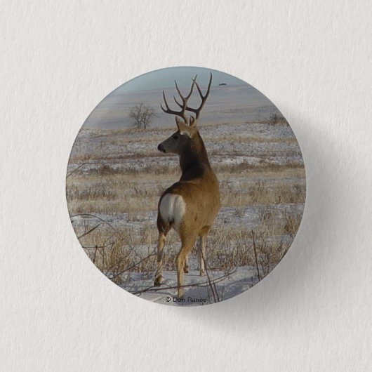 D20 Mule Deer Buck in Snow Button (Vorderseite)