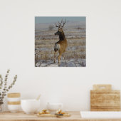 D20 Mule Deer Buck in Snow Poster (Küche)