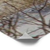 D20 Mule Deer Buck in Snow Poster (Ecke)