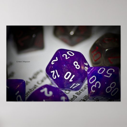 D20 POSTER (Vorne)