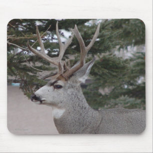 D25 Maultierhirsch Bock Mousepad