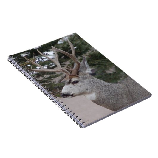 D25 Mule Deer Buck Head Shot Notizblock (Rechte Seite)