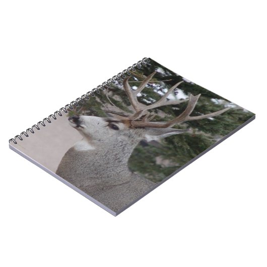 D25 Mule Deer Buck Head Shot Notizblock (Linke Seite)