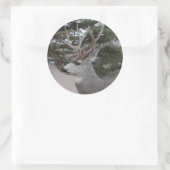 D25 Mule Deer Buck Head Shot Runder Aufkleber (Tasche)
