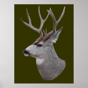 D27 Maultierhirsch‑Bockkopf Poster
