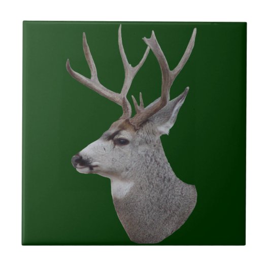 D27 Mule Deer Buck Head Fliese (Vorderseite)