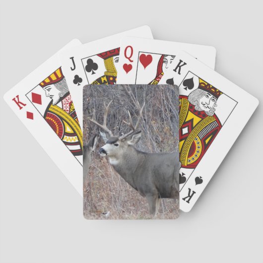 D29 Maultierhirsch-Bock Spielkarten (Rückseite)
