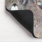 D29 Maultierhirsch Bock und Hirschkuh Mousepad (Ecke)