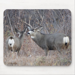 D29 Maultierhirsch Bock und Hirschkuh Mousepad