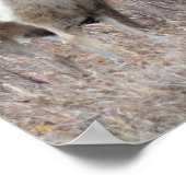 D29 Maultierhirsch Bock und Hirschkuh Poster (Ecke)