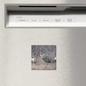 D29 Maultierhirsch Magnet (In Situ (Geschirrspüler))