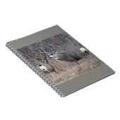 D29 Mule Deer Buck and Doe Notizblock (Rechte Seite)