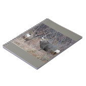D29 Mule Deer Buck and Doe Notizblock (Linke Seite)