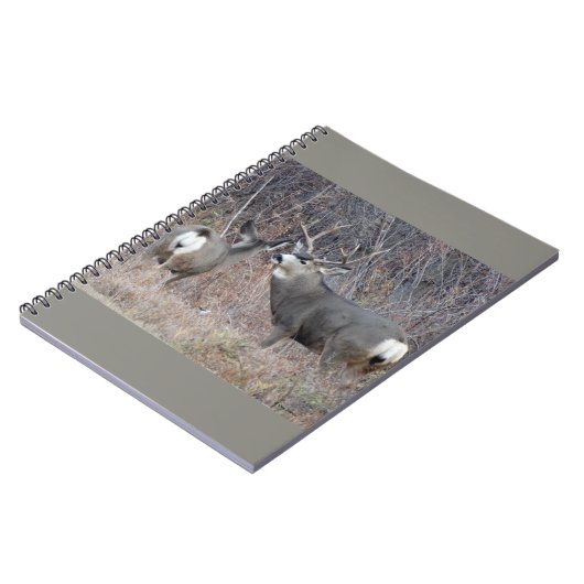 D29 Mule Deer Buck and Doe Notizblock (Linke Seite)