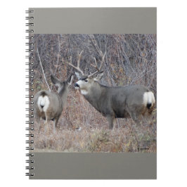 D29 Mule Deer Buck and Doe Notizblock