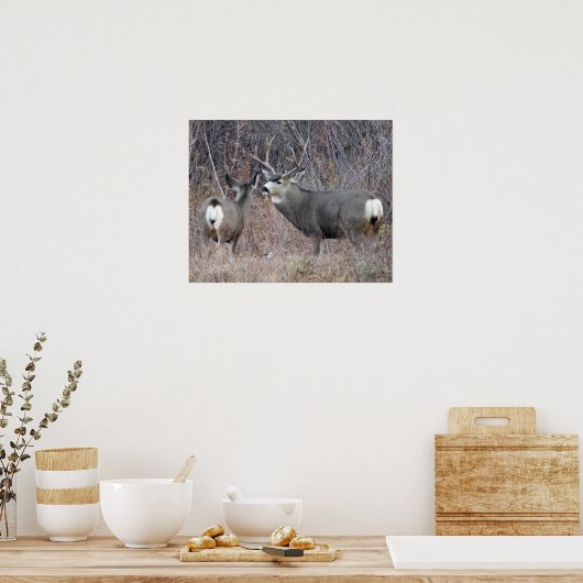 D29 Mule Deer Buck and Doe Poster (Küche)