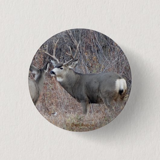 D29 Mule Deer Button (Vorderseite)
