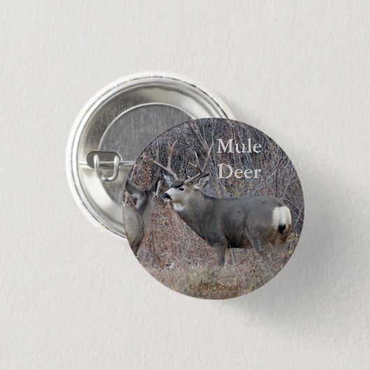 D29 Mule Deer Button (Vorne & Hinten)