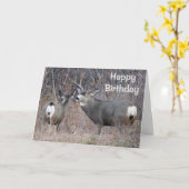 D29 Mule Deer Karte (Gelbe Blume)