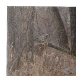 D2 Weiß-angebundene Rotwild in den Pappel-Bäumen Fliese (Vorderseite)