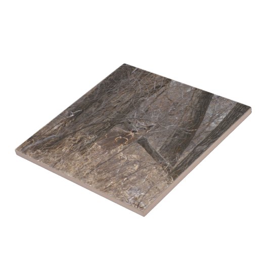 D2 Weiß-angebundene Rotwild in den Pappel-Bäumen Fliese (Seite)