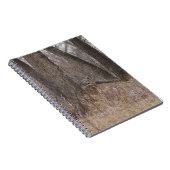 D2 Weißschwanzhirsche in Cottonwood-Bäumen Notizblock (Rechte Seite)