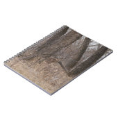 D2 Weißschwanzhirsche in Cottonwood-Bäumen Notizblock (Linke Seite)