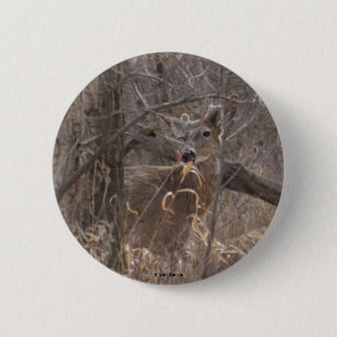 D2 Weißwedelhirsch Button