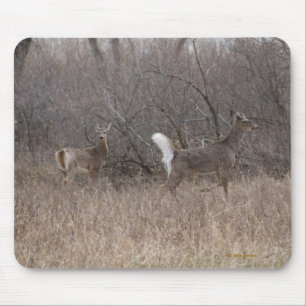D2 Weißwedelhirsche in Cottonwood-Bäumen Mousepad