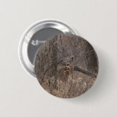 D2 Whitetail Deer Spring Buck in Cottonwood Trees Button (Vorne & Hinten)