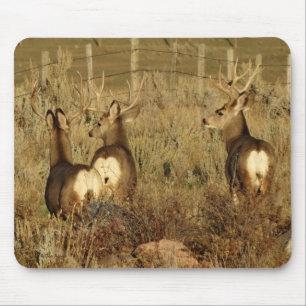 D30 Maultierhirsche Mousepad
