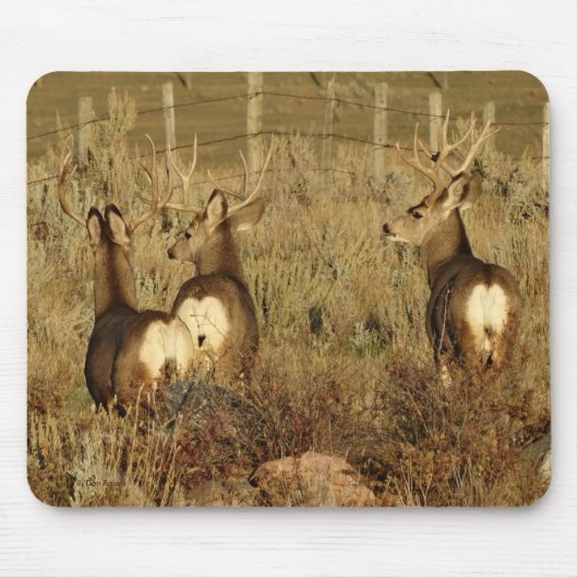 D30 Maultierhirsche Mousepad (Vorne)