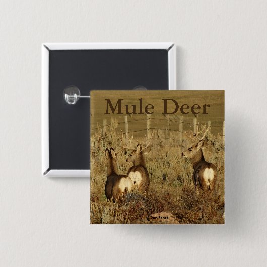 D30 Mule Deer Bucks Button (Vorne & Hinten)