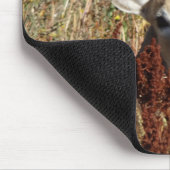 D31 Weiß-angebundene Rotwild in den Unkräutern Mousepad (Ecke)