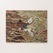 D31 Weißschwanzhirsche im Unkraut Puzzle (Horizontal)