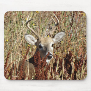 D31 Weißwedelhirsch im Unkraut Mousepad