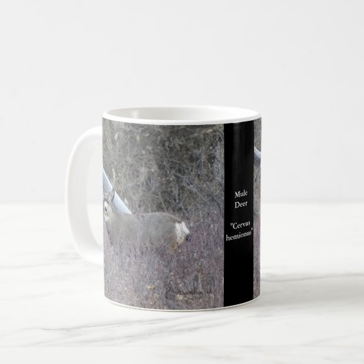 D32 Mule Deer Buck Kaffeetasse (Vorderseite Links)