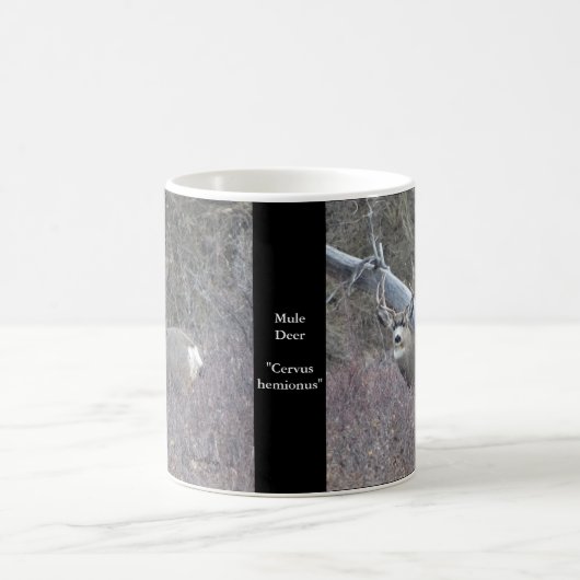 D32 Mule Deer Buck Kaffeetasse (Mittel)