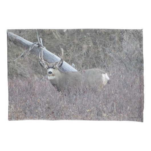D32 Mule Deer Buck Kissenbezug (Vorderseite)
