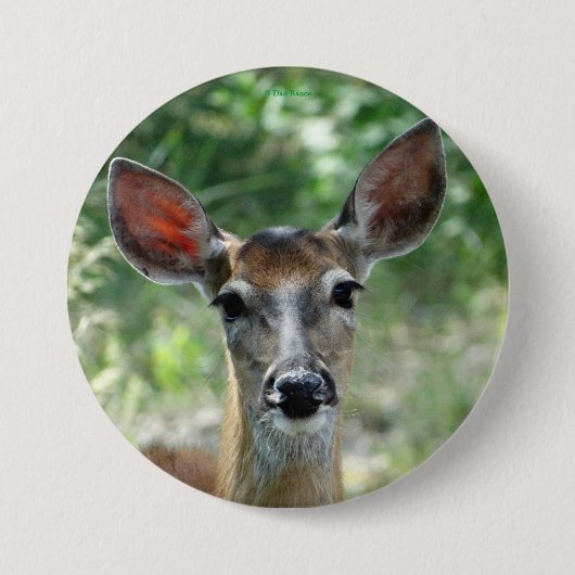 D33 Knopfschwanz Button (Vorderseite)