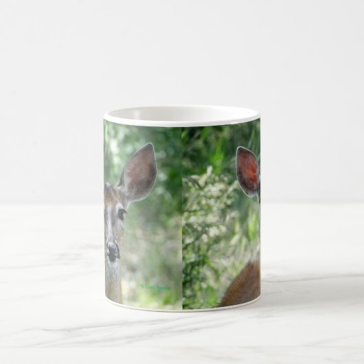 D33 Weißschwanz-Hirsche-Tasse Kaffeetasse (Mittel)