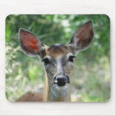 D33 Weißschwanz-Hirschknotenpad Mousepad (Vorne)