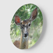 D33 Weißwedelhirsch Weibchen Große Wanduhr (Winkel)