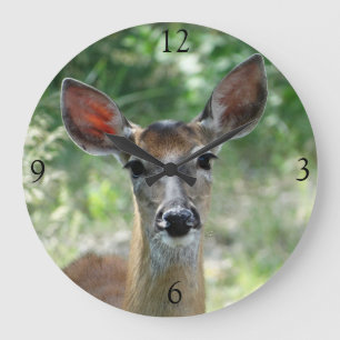 D33 Weißwedelhirsch Weibchen Große Wanduhr