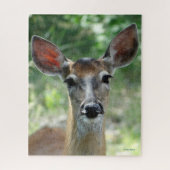 D33 White-tailed Deer Doe Puzzle (Vertikal)