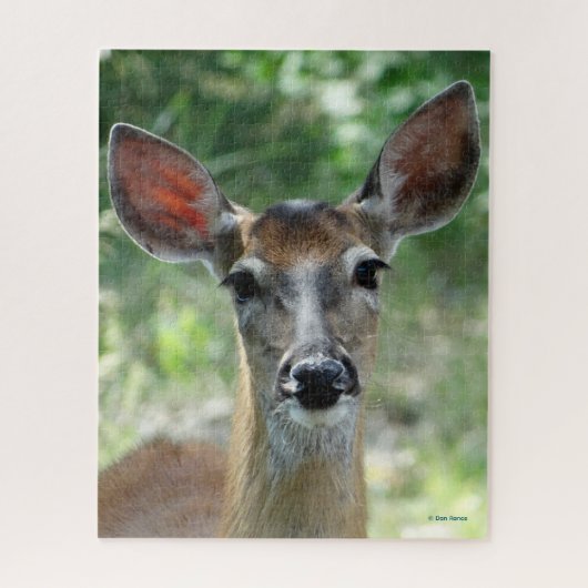 D33 White-tailed Deer Doe Puzzle (Vertikal)