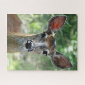 D33 White-tailed Deer Doe Puzzle (Horizontal)