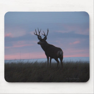 D3 Maultierhirsch Bock Sonnenaufgang Bock Mousepad