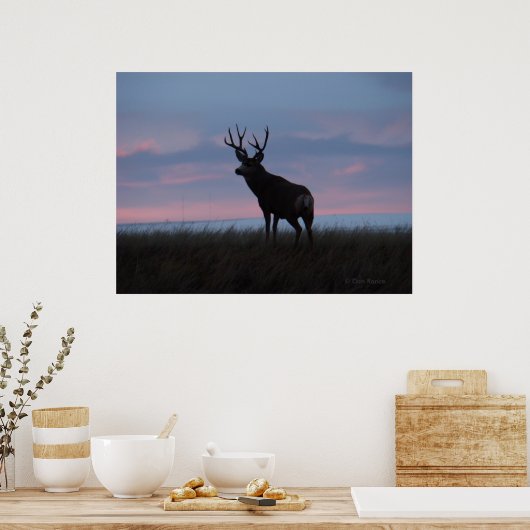 D3 Mule Dee Sun Rise Buck Poster (Küche)